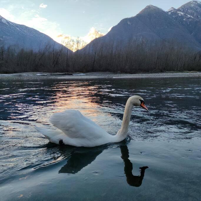 Apartmán Il Nido Dei Cigni Vogogna Exteriér fotografie